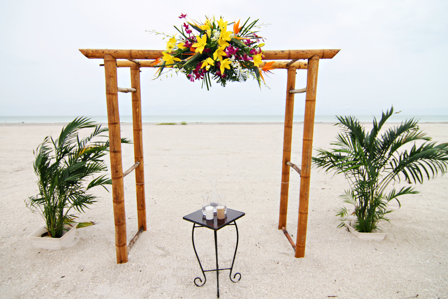 Green and Pink Clearwater Sand Key Park Wedding (11) Green and Pink Clearwater Sand Key Park Wedding (11)