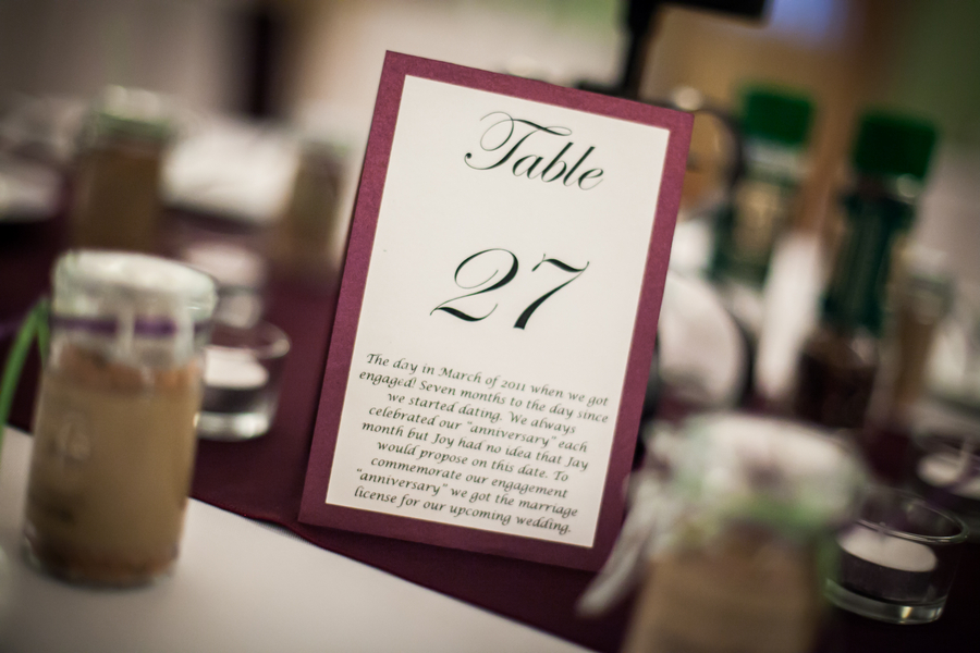 DIY Purple & Lime Green Mirror Lake Lyceum St. Petersburg Wedding - Special Moments (19) DIY Purple & Lime Green Mirror Lake Lyceum St. Petersburg Wedding - Special Moments (19)