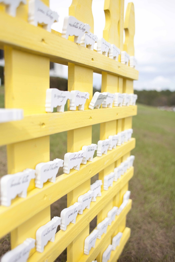 Yellow Country Dade City Wedding - Barrington Hill Farm - Tampa Bay Wedding Photographer Roohi Photography (14)