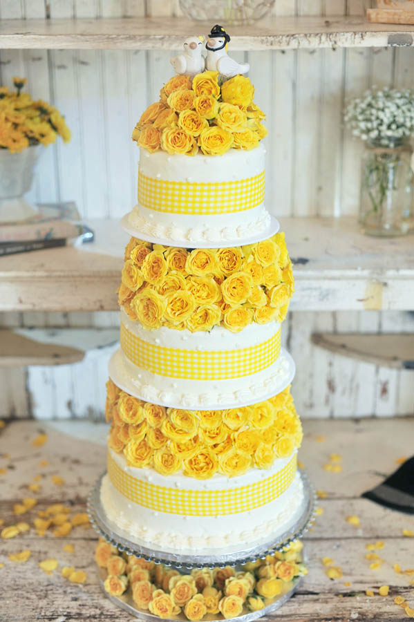 Yellow Country Dade City Wedding - Barrington Hill Farm - Tampa Bay Wedding Photographer Roohi Photography (9)
