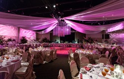 Fuchsia and Champagne Modern Nigerian Tampa Destination Wedding - Tampa Wedding Venue A La Carte Pavilion (6)